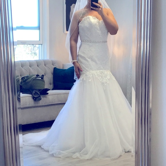 Wedding Dress with belt and veil - Picture 1 of 3